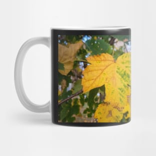 Autumn Yellow Leaf Mug